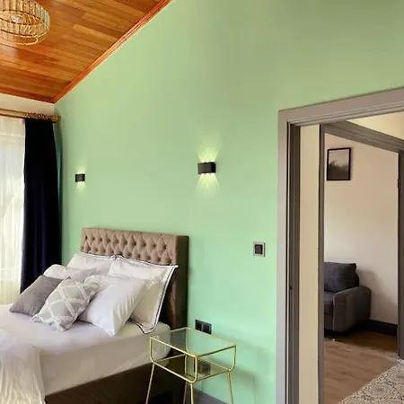 Chic 5 Min To Sultanahmet Apartment